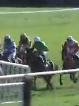 Called horse 772