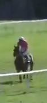 Called horse 776