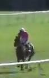 Called horse 776