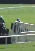 Called horse 772