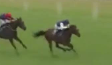 Called horse 17