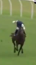 Called horse 26