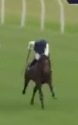 Called horse 26