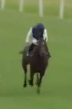 Called horse 26