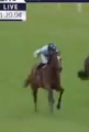 Called horse 23