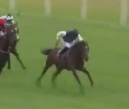 Called horse 26