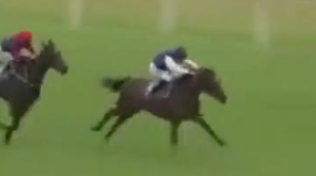 Called horse 549