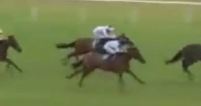 Called horse 547