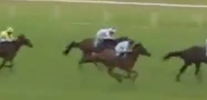 Called horse 547