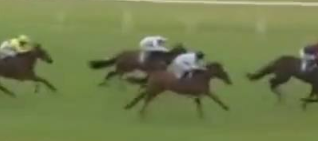 Called horse 547