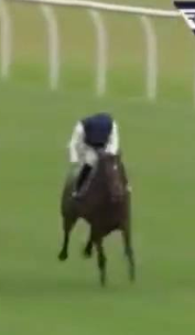 Called horse 576