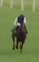 Called horse 576