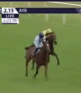 Called horse 574