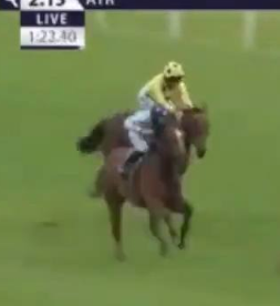 Called horse 574