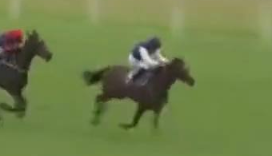 Called horse 576