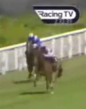 Called horse 317