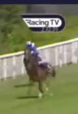 Called horse 317