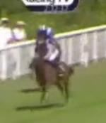 Called horse 317