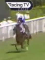 Called horse 317