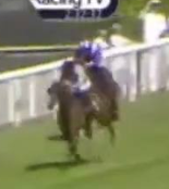 Called horse 317