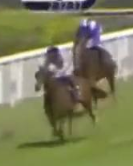 Called horse 315