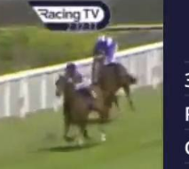 Called horse 317