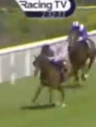 Called horse 315