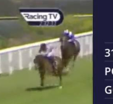 Called horse 317