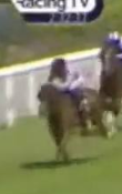 Called horse 315