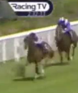 Called horse 317
