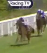Called horse 317