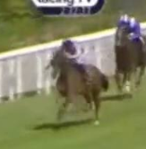 Called horse 315