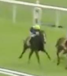Called horse 333