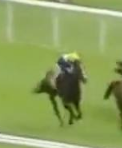 Called horse 333