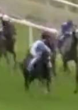Called horse 364