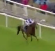 Called horse 367