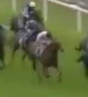 Called horse 376