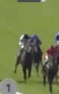 Called horse 388