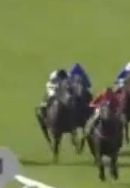 Called horse 388