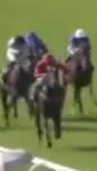 Called horse 387