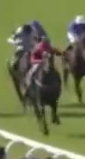 Called horse 387