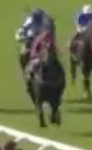 Called horse 387