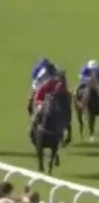 Called horse 387