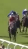 Called horse 387