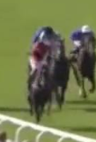 Called horse 387