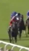 Called horse 387
