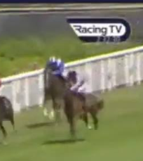 Called horse 409