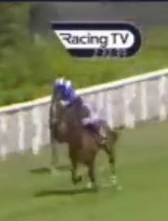 Called horse 409