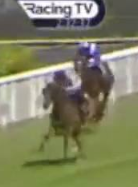 Called horse 409