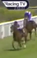 Called horse 411
